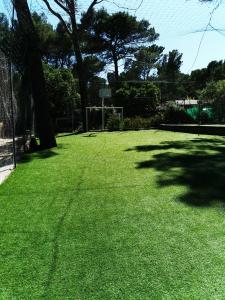 Campings Mobil home 6 pers - camping Les Arbouses - clim terrasse plancha : photos des chambres