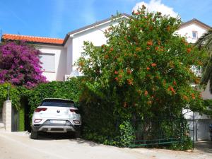 Apartments Antares 