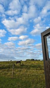 Tiny House La Cavalerie, au milieu des chevaux !