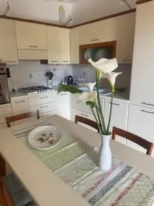 Marina's Venice garden - Meolo