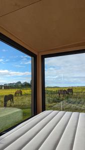 Chalets Tiny House La Cavalerie, au milieu des chevaux ! : photos des chambres