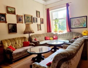 Transylvania Hostel