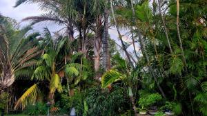 Kennington Palms B&BSelf Catering