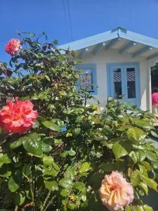 Charmante maison près de la mer - 阿内勒