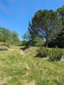 Maisons de vacances Le Gite de Berignac : photos des chambres