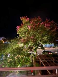 Homestay Măng Đen Diamond