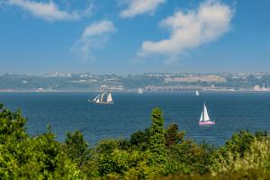 Chalets Chalet avec jardin vue mer 100m : photos des chambres