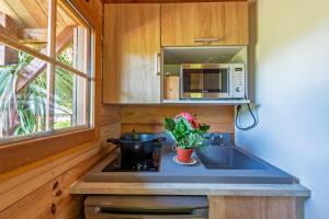 Chalets Chalet avec jardin vue mer 100m : photos des chambres