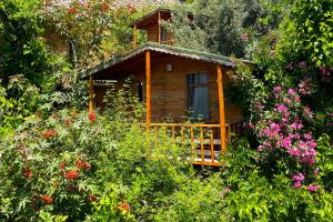 Deluxe Double Room room in Full Moon Camp