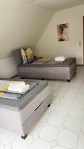 IIA Apartments