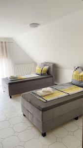 IIA Apartments