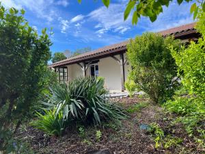 Peaceful gîte with stunning pool near market town