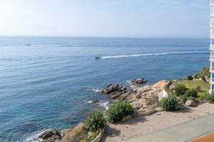 Apartment Meda Chica