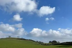 Barnbackle Cottage - Beeswing