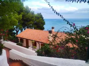 NSM Villa Carlotta & Villa Guarda che Mare con Piscine vista mare - 普格诺奇乌索