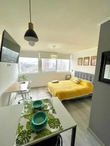 Departamento estudio San Miguel - El Bosque