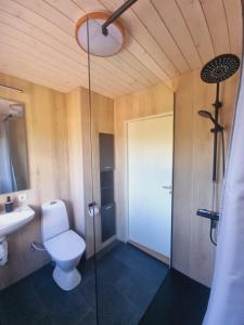 Elch Zimmer Wilderness Life