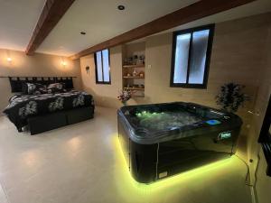 Love hotels Le Cocon SPA lune de miel : photos des chambres
