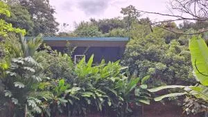 Cabinas fave - Platanillo