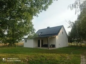 Dom Trejderów - 弗龙基