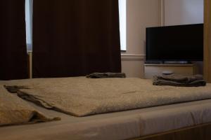Apartment - Ground Floor room in Fitt Panzió