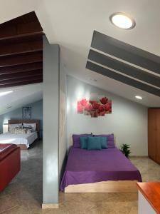 Attic family apartment