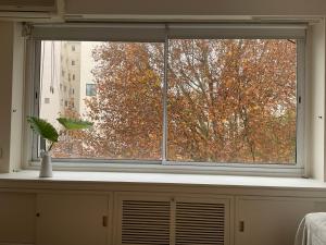 Increible vista en Recoleta