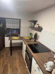 Simsir villa Novi Sad wifi