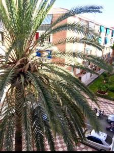 Habitación 2 en tercera planta sin ascensor no és un piso entero! A compartir Baño y cocina!