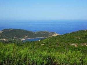 Seaview Condo Tabarka