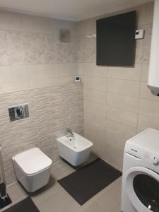 Apartment Ledince 