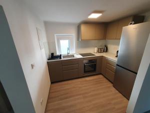 Apartment Ledince 