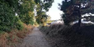 Campings Camping des Pierres Debout : photos des chambres