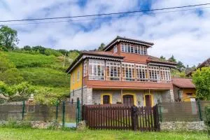 Paraiso Puntal - Liñero