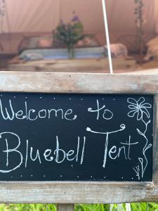 Bluebell Tent at Ballyward Croft