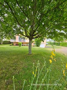 Les Pâquerettes, gîte de campagne 1300 m2 de terrain à 20min du Puy du Fou