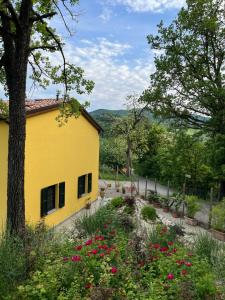 Luci nel Bosco B&B