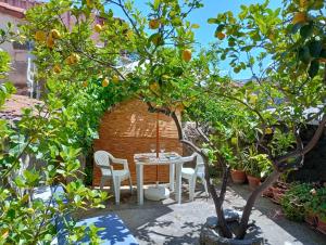 CASA FIGUS Via Azuni 5 Narbolia img14