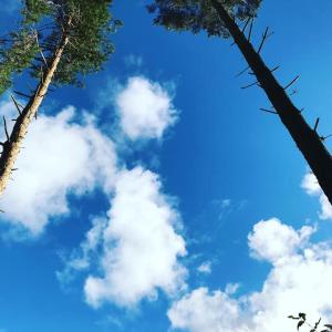 Romantic Lagoon View Studio