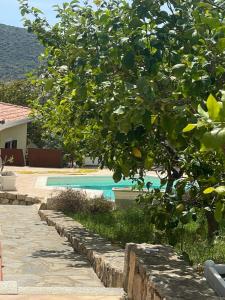 Sa Murta Bianca Guesthouse img44