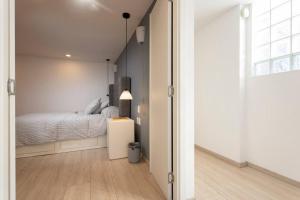 Beautiful furnished apartment in Roma Norte