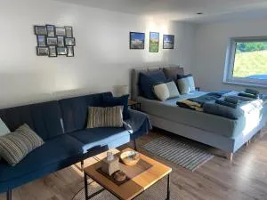 Apartament pod Sejdakiem - 格武希察