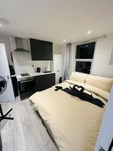 Small Studio in Central London - New Ferry