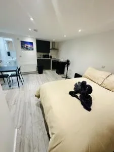 Studio near Waterloo - New Ferry