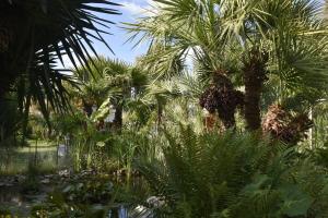 Maisons de vacances Gite 