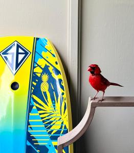 The Napili Bay 111 - Ocean View Studio - Steps from Napili Beach