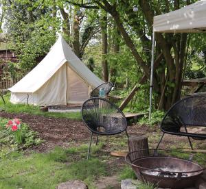 Glamping Zonnebloem - Back-to-Nature