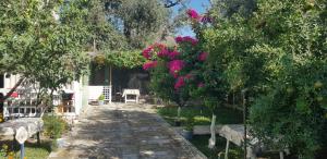 The Olive Grove - Ubytování bez kategorie ve městě Borsh