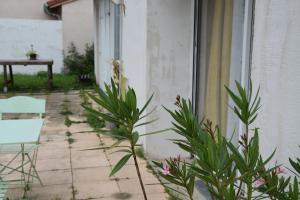 Appartements Studio evasion campagnarde avec jardin et parking, proche de Eurexpo et GroupamaStadium : photos des chambres