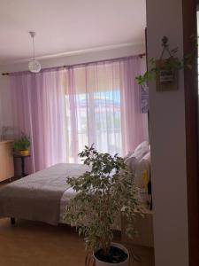 Studio of Shpresa